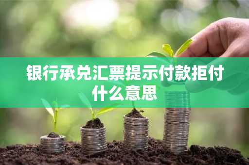 银行承兑汇票提示付款拒付什么意思