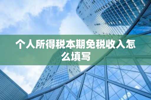 个人所得税本期免税收入怎么填写