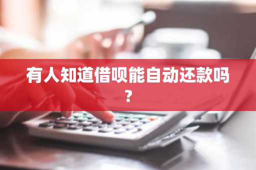 有人知道借呗能自动还款吗?