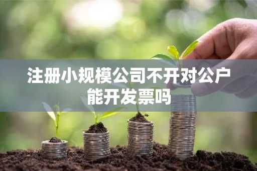 注册小规模公司不开对公户能开发票吗