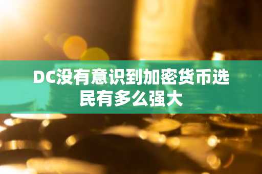 DC没有意识到加密货币选民有多么强大