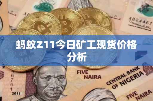 蚂蚁Z11今日矿工现货价格分析