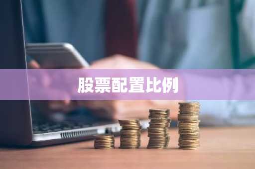 股票配置比例