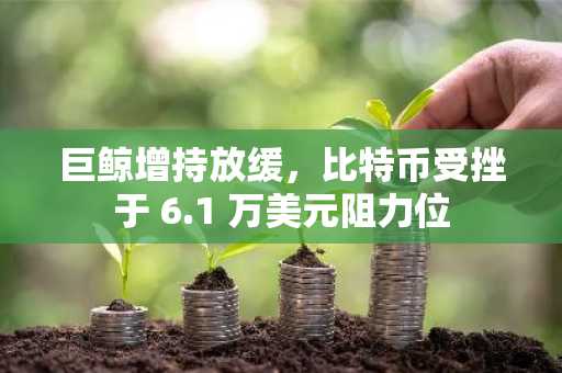 巨鲸增持放缓，比特币受挫于 6.1 万美元阻力位