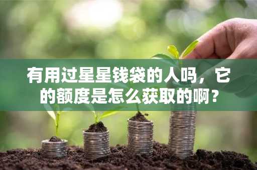 有用过星星钱袋的人吗，它的额度是怎么获取的啊？