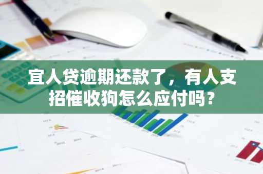 宜人贷逾期还款了，有人支招催收狗怎么应付吗？