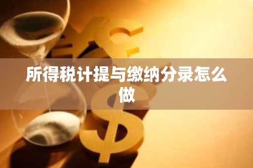 所得税计提与缴纳分录怎么做