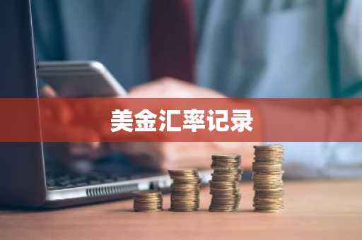 美金汇率记录