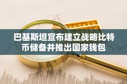 巴基斯坦宣布建立战略比特币储备并推出国家钱包