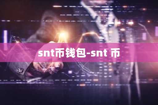 snt币钱包-snt 币