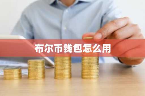 布尔币钱包怎么用