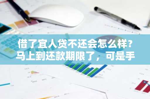 借了宜人贷不还会怎么样？马上到还款期限了，可是手头没钱。