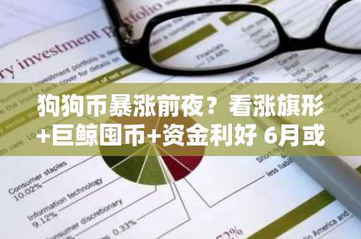 狗狗币暴涨前夜？看涨旗形 巨鲸囤币 资金利好 6月或迎史诗级拉盘