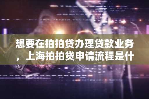 想要在拍拍贷办理贷款业务，上海拍拍贷申请流程是什么？