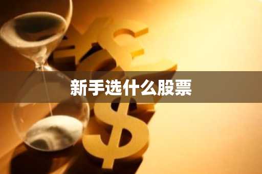 新手选什么股票