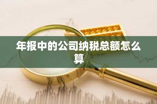 年报中的公司纳税总额怎么算