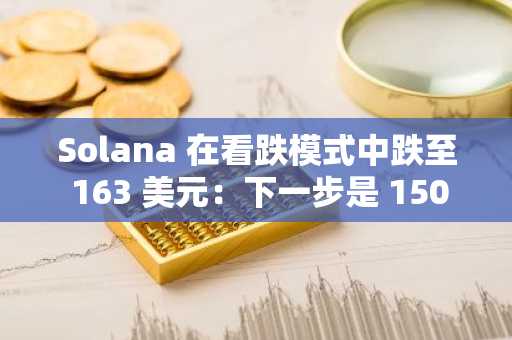 Solana 在看跌模式中跌至 163 美元：下一步是 150 美元吗？