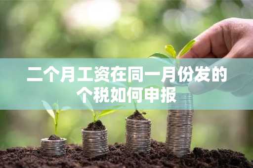 二个月工资在同一月份发的个税如何申报