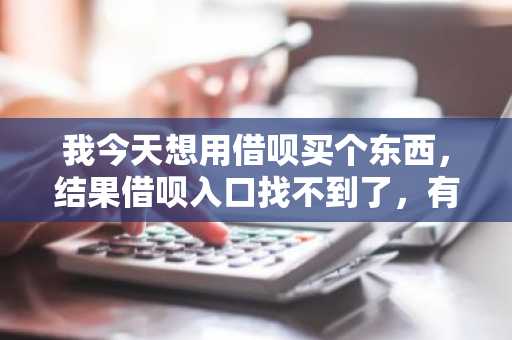 我今天想用借呗买个东西，结果借呗入口找不到了，有人知道是怎么回事么？
