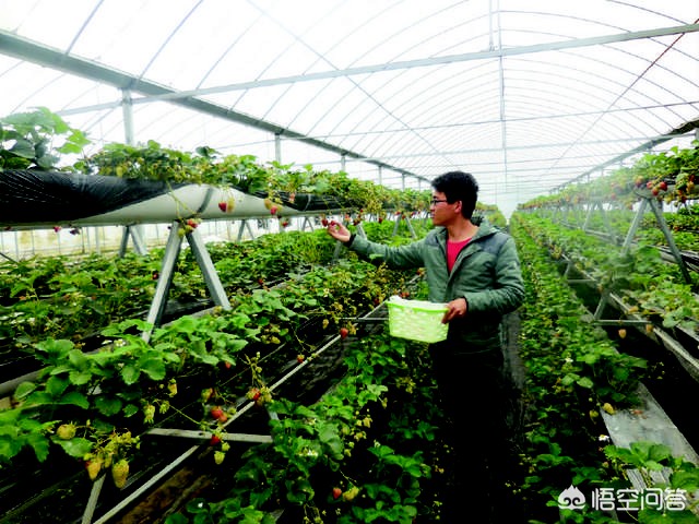 如何编辑区块链程序 如何编辑区块链程序文件