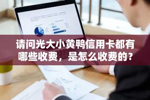 请问光大小黄鸭信用卡都有哪些收费，是怎么收费的？