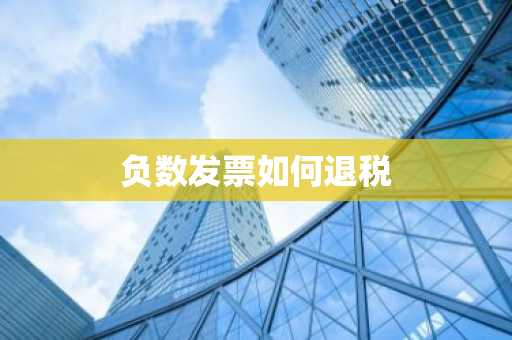 负数发票如何退税