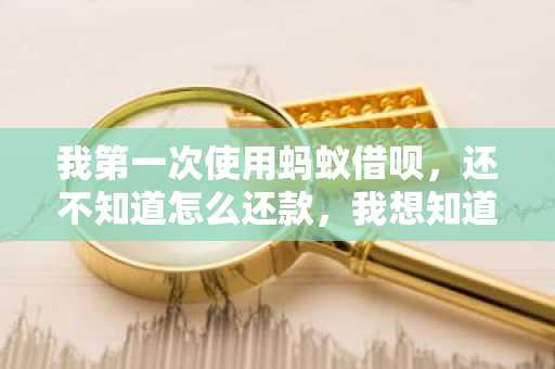 我第一次使用蚂蚁借呗，还不知道怎么还款，我想知道还款的方法是什么？