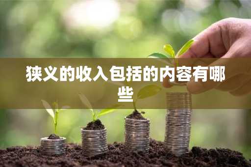 狭义的收入包括的内容有哪些