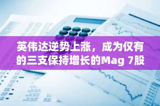 英伟达逆势上涨，成为仅有的三支保持增长的Mag 7股票之一