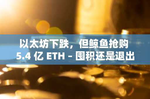 以太坊下跌，但鲸鱼抢购 5.4 亿 ETH – 囤积还是退出？