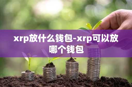 xrp放什么钱包-xrp可以放哪个钱包