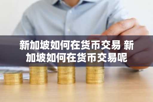 新加坡如何在货币交易 新加坡如何在货币交易呢