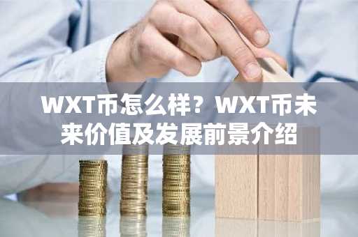 WXT币怎么样？WXT币未来价值及发展前景介绍