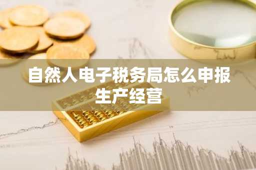 自然人电子税务局怎么申报生产经营