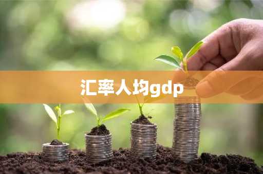 汇率人均gdp