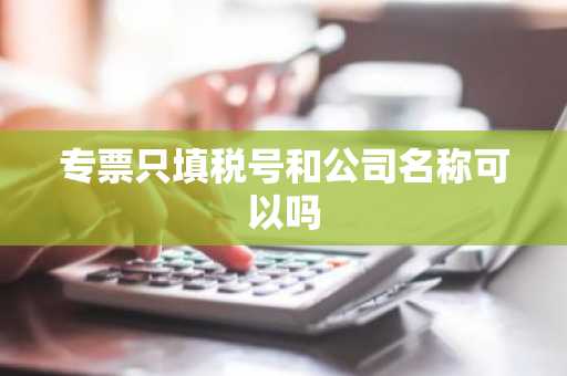 专票只填税号和公司名称可以吗