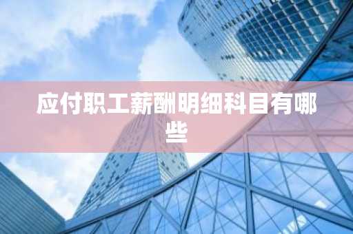 应付职工薪酬明细科目有哪些