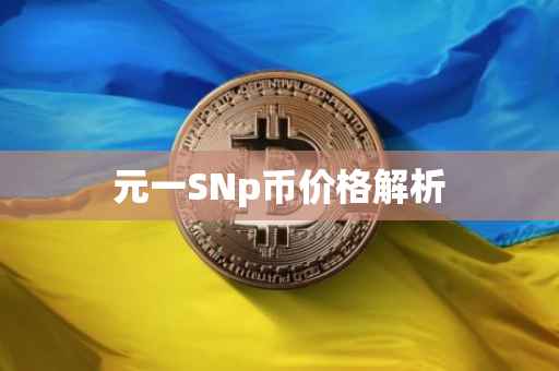 元一SNp币价格解析