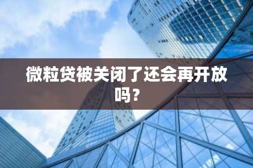 微粒贷被关闭了还会再开放吗？