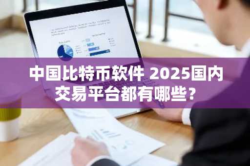 中国比特币软件 2025国内交易平台都有哪些？