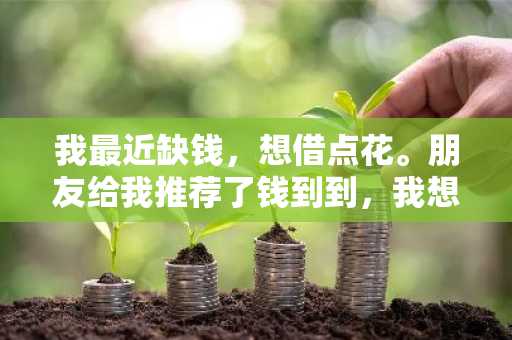 我最近缺钱，想借点花。朋友给我推荐了钱到到，我想知道钱到到是什么？