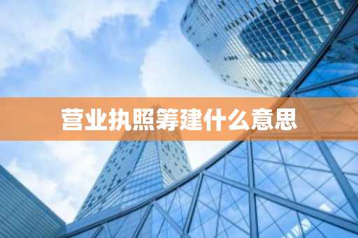 营业执照筹建什么意思