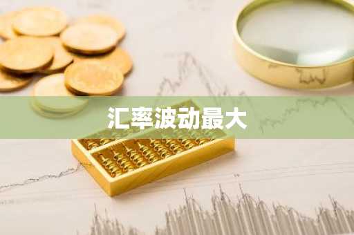 汇率波动最大
