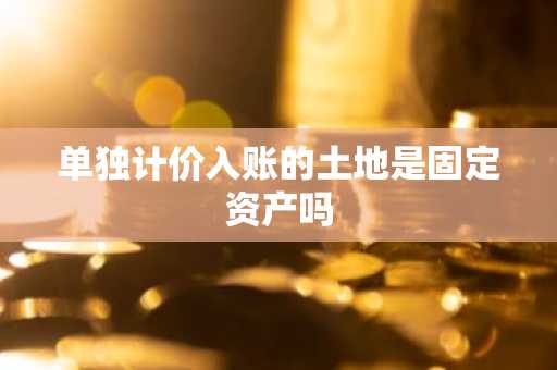 单独计价入账的土地是固定资产吗
