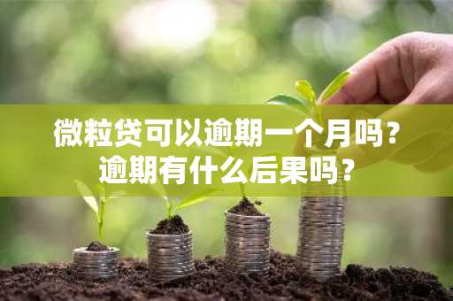 微粒贷可以逾期一个月吗？逾期有什么后果吗？