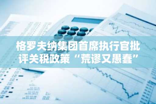 格罗夫纳集团首席执行官批评关税政策“荒谬又愚蠢”