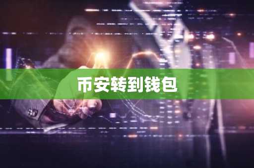 币安转到钱包