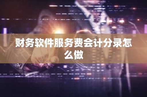 财务软件服务费会计分录怎么做