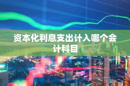 资本化利息支出计入哪个会计科目