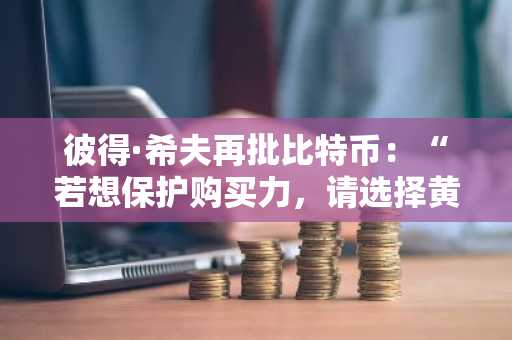 彼得·希夫再批比特币：“若想保护购买力，请选择黄金”